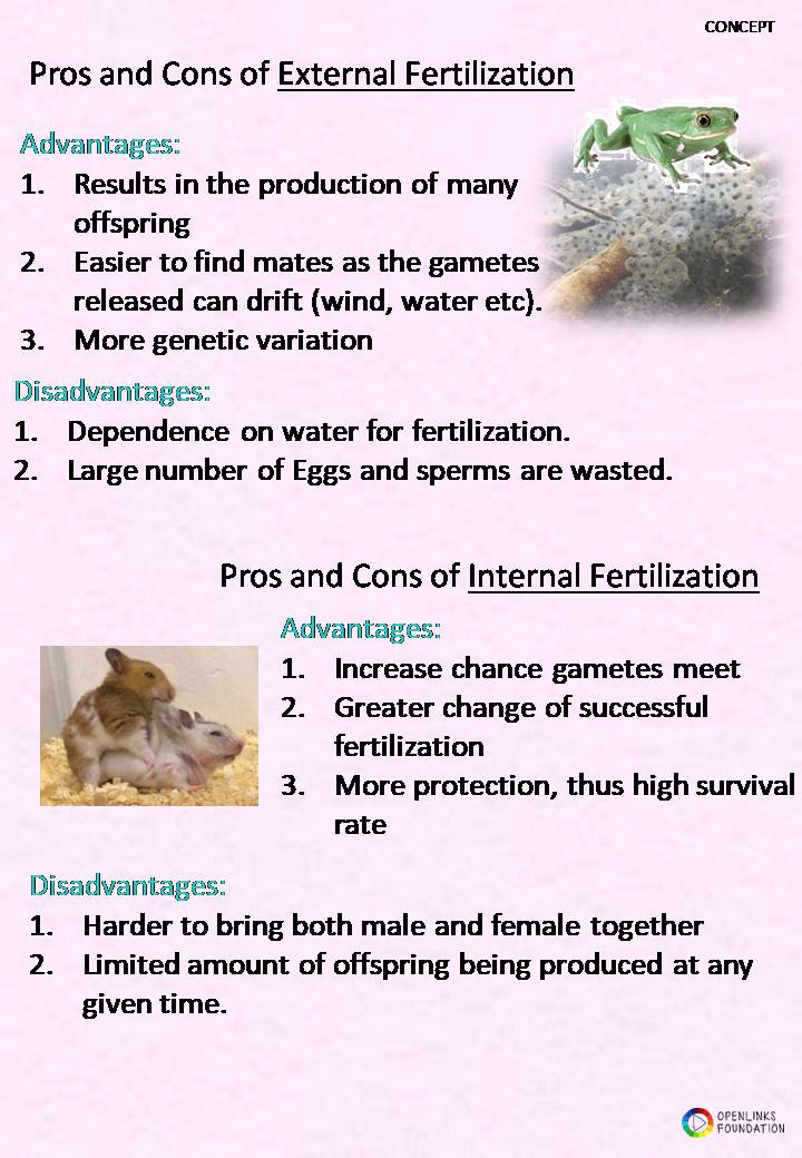 Overview of sexual reproduction